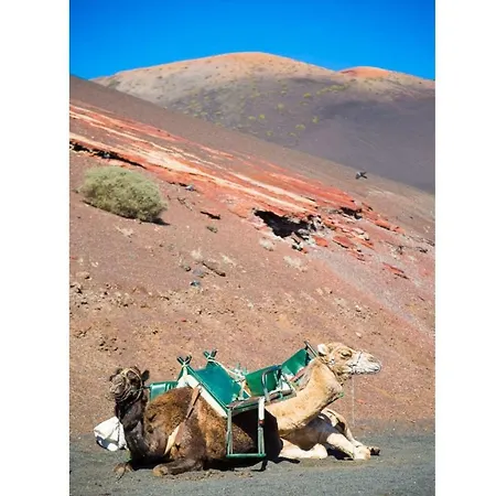 Casa Raul Willa Playa Blanca (Lanzarote)